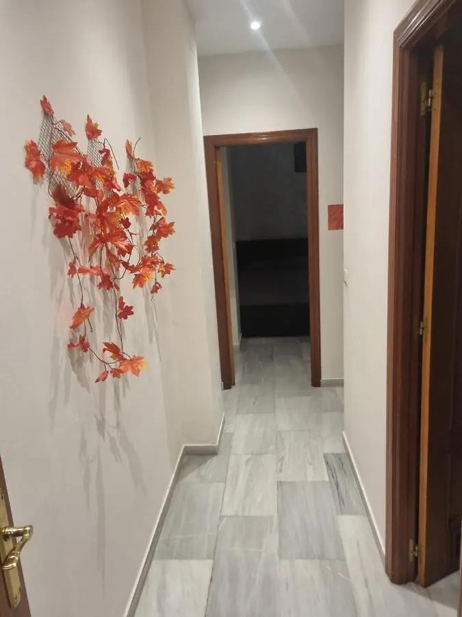 Apartamentos Centro Historico Seville 0*,